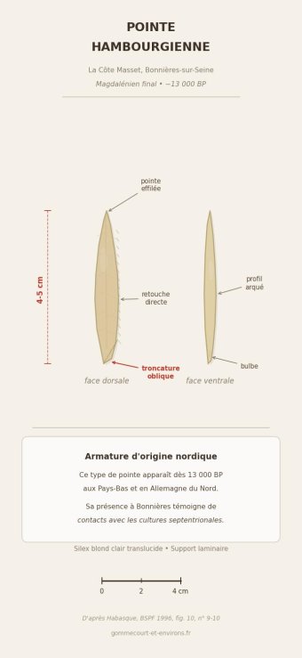 Pointes hambourgiennes - infographie