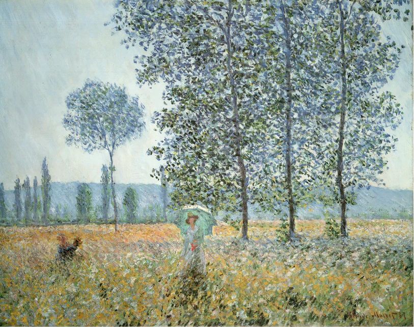 Sous-les-peulplierss-lumiere-soleil